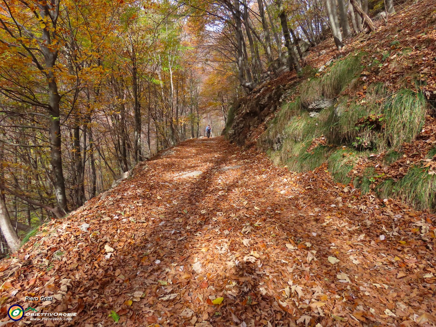 08 Sul sent. 234-tratto su sterrata- colorato d'autunno.JPG